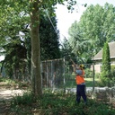 Scie à perche Hayauchi 3670-6.5 avec lame de 480mm