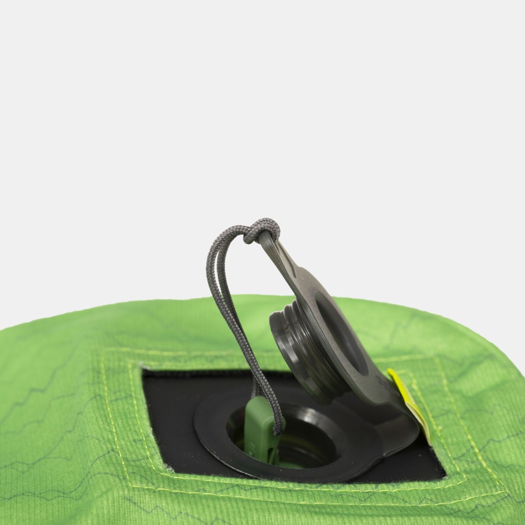 Rem Pillow (2023) Lichen Forest Print