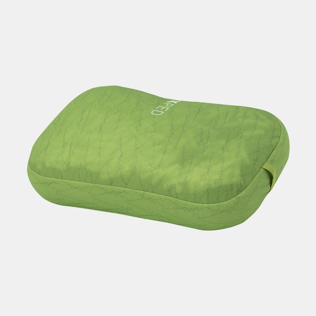 Rem Pillow (2023) Lichen Forest Print