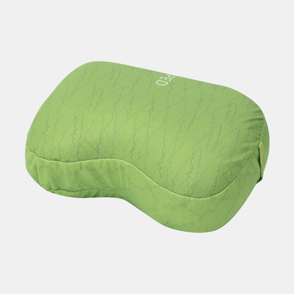 Down Pillow (2023) Lichen Forest Print