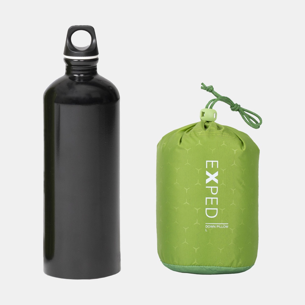 Down Pillow (2023) Lichen Forest Print