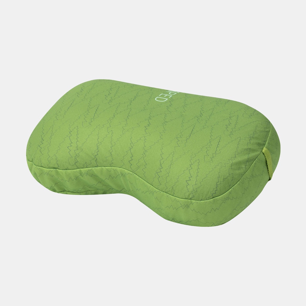 Down Pillow (2023) Lichen Forest Print