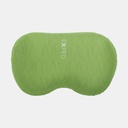 Down Pillow (2023) Lichen Forest Print