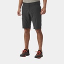 Access Cargo Shorts (2022) Asphalte