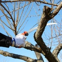 Scie d'élagage Tsurugi Curve 330-7.5