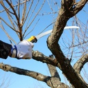 Scie d'élagage Tsurugi Curve 270-10