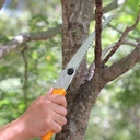 Scie d'élagage Pocket Boy Curve 170-8 Jaune