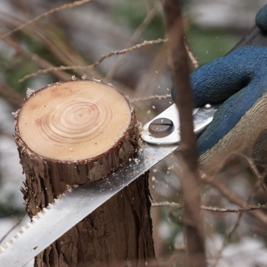 Scie d'élagage Gomboy 270-10