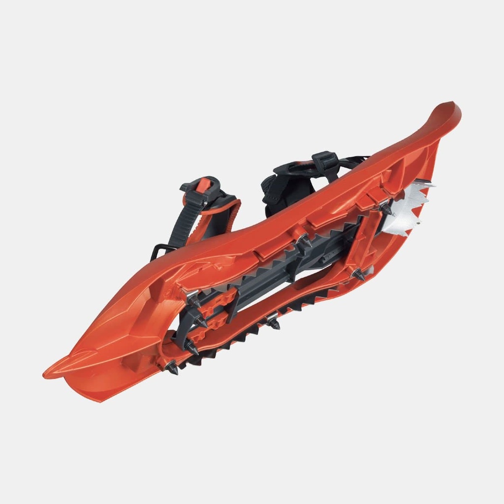 418 Up and Down Goyave