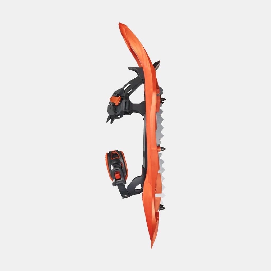 418 Up and Down Goyave