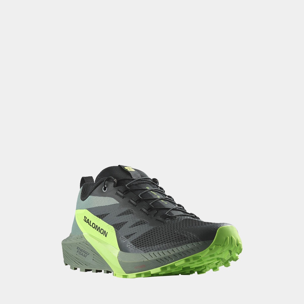 Sense Ride 5 (2023) Black / Laurel Wreath / Green Gecko