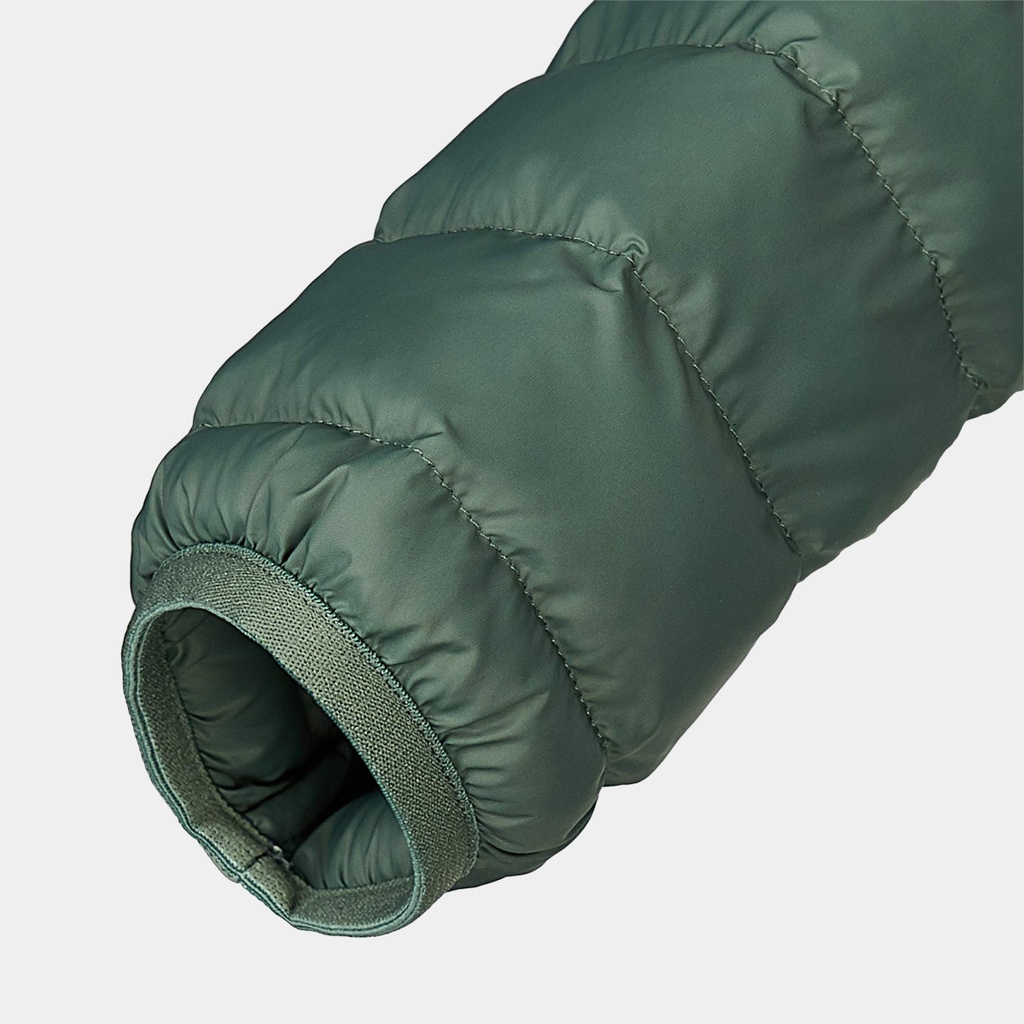 Expedition Latt Hoodie Women Patina Green