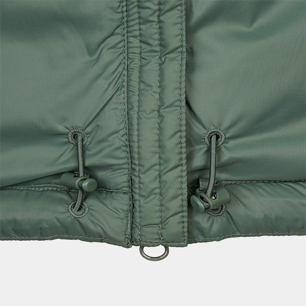 Expedition Latt Hoodie Women Patina Green