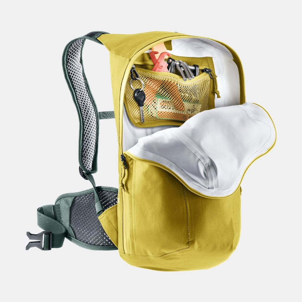 Plamort 12 Tumeric/Ivy