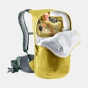 Plamort 12 Tumeric/Ivy