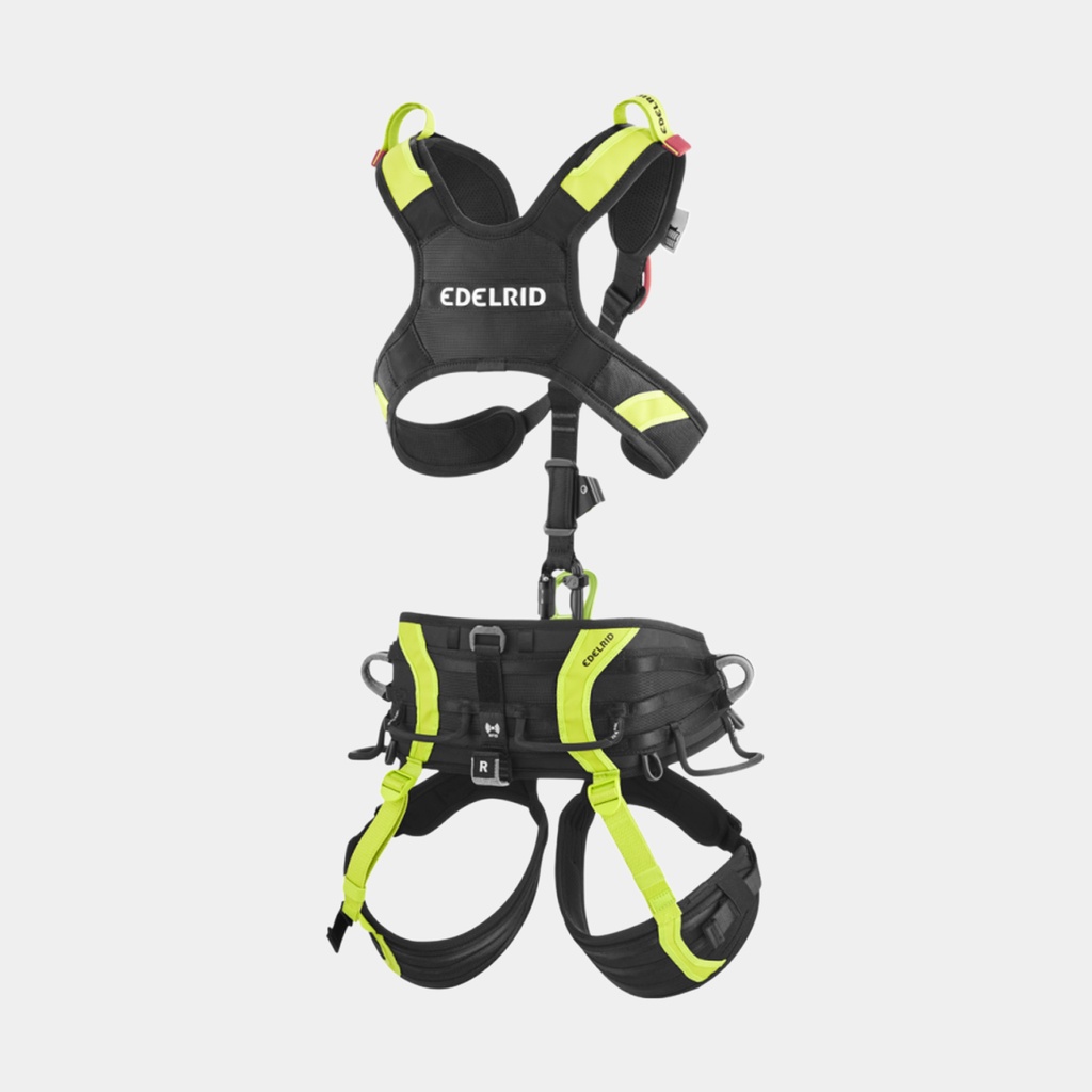 Vector X Night / Oasis