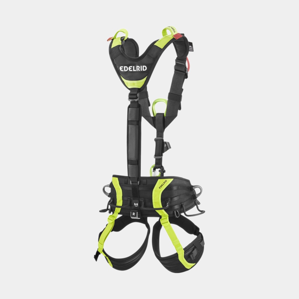 Vector X Night / Oasis