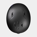 Hal Noir / Panthère