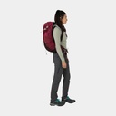 Rook 50 Histosol Brown / Rhino Grey