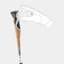 Cross Trail Carbon White / Envy / Black