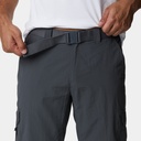 Silver Ridge II Capri Grill