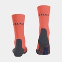 TK2 Cool Short Peacock