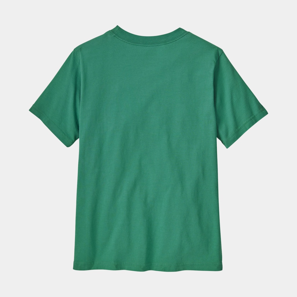 P-6 Logo Trucker Hat Graze Green