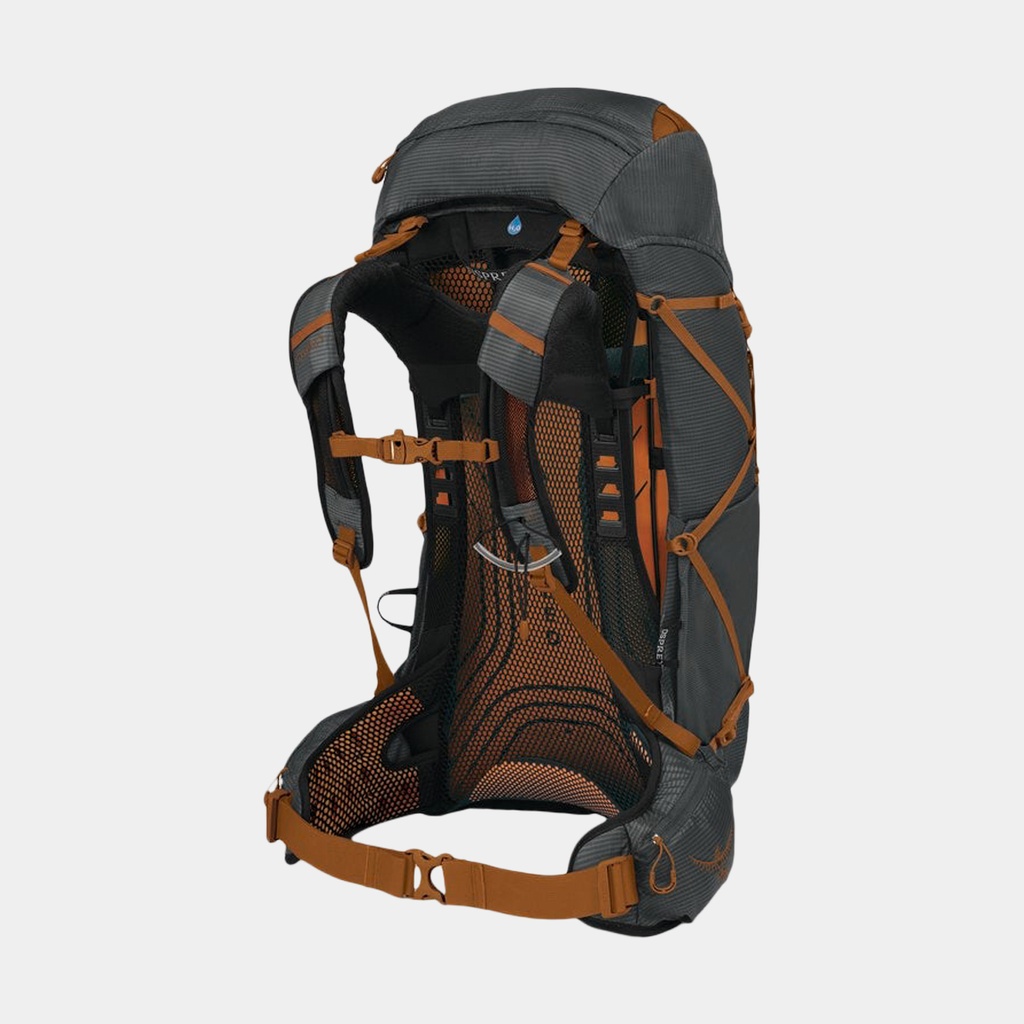 Ariel 55 Women (2021) Koseret Green