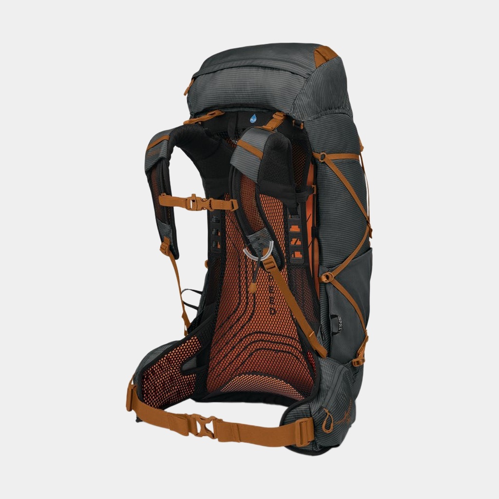 Arcane Hip Bag Botanica Heather