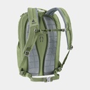 Futura Pro 36 Masala Cherry