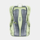 Futura Pro 36 Masala Cherry