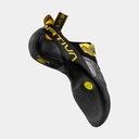 Theory (2025) Yellow / Black