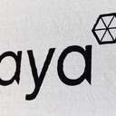 Footprint Alpiniste 2 Black