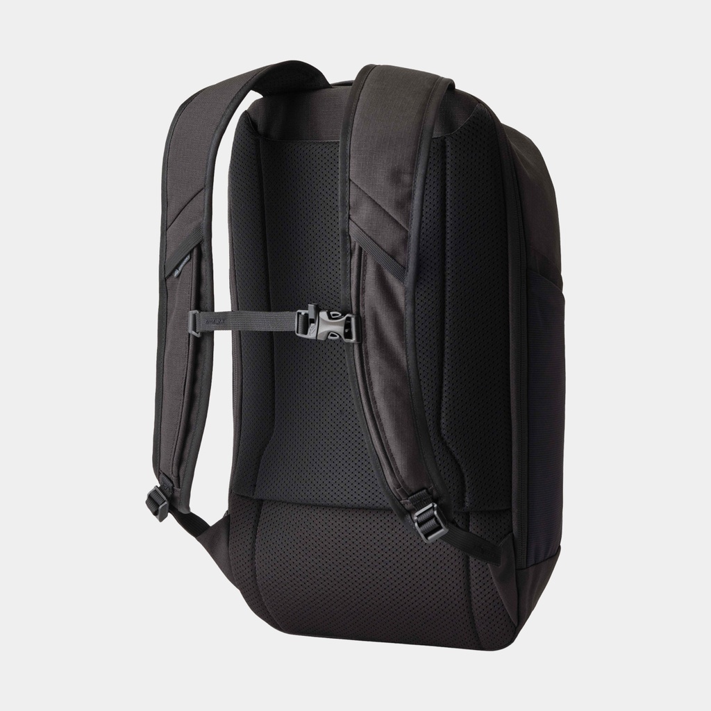 Border 50+15 Black Lichen