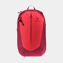 AC Lite 17 Cherry Masala