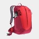 AC Lite 17 Cherry Masala