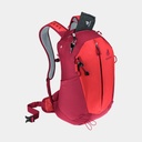 AC Lite 17 Cherry Masala