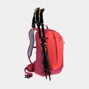 AC Lite 17 Cherry Masala