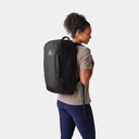 Border 30 Black Lichen