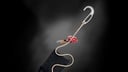Exo AP Hook (copie)