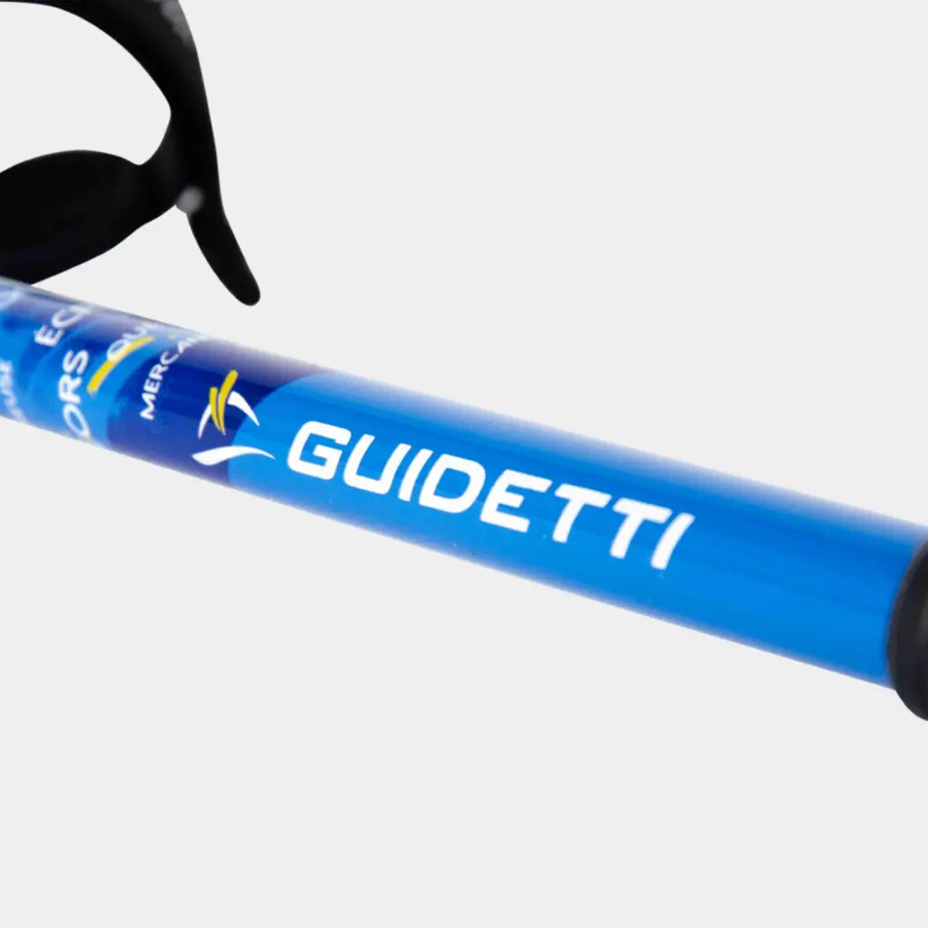 Massif des Alpes Bleu