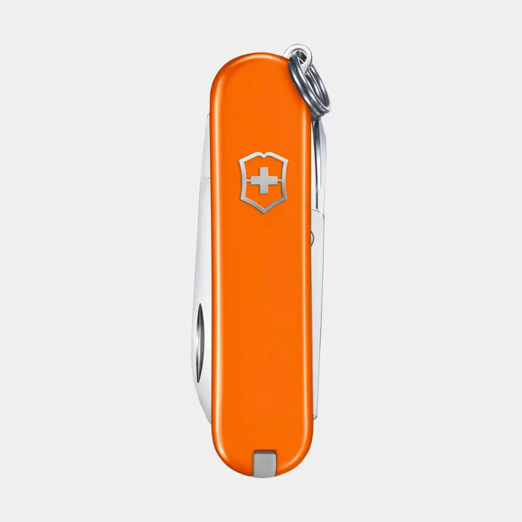 Classic SD Mango Tango