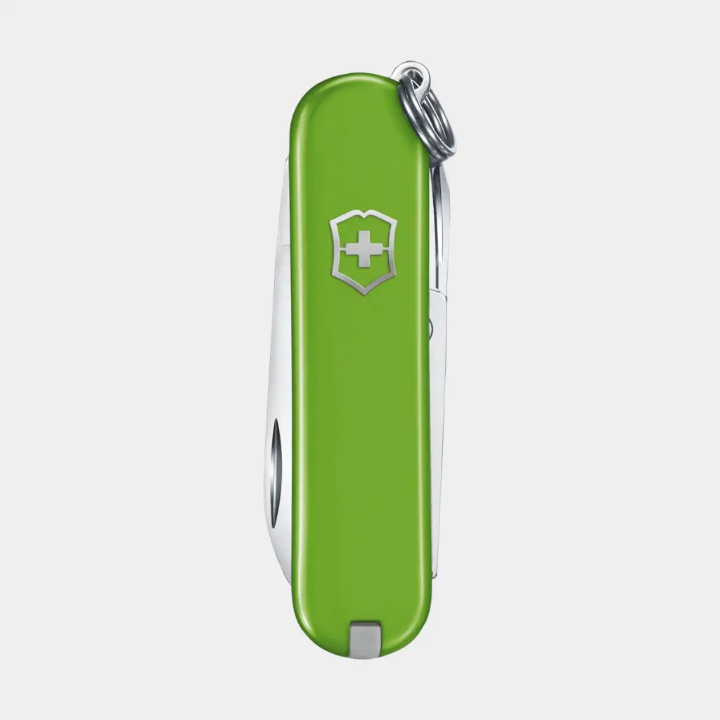 Classic SD Smashed Avocado