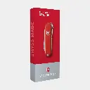 Classic SD Style Icon