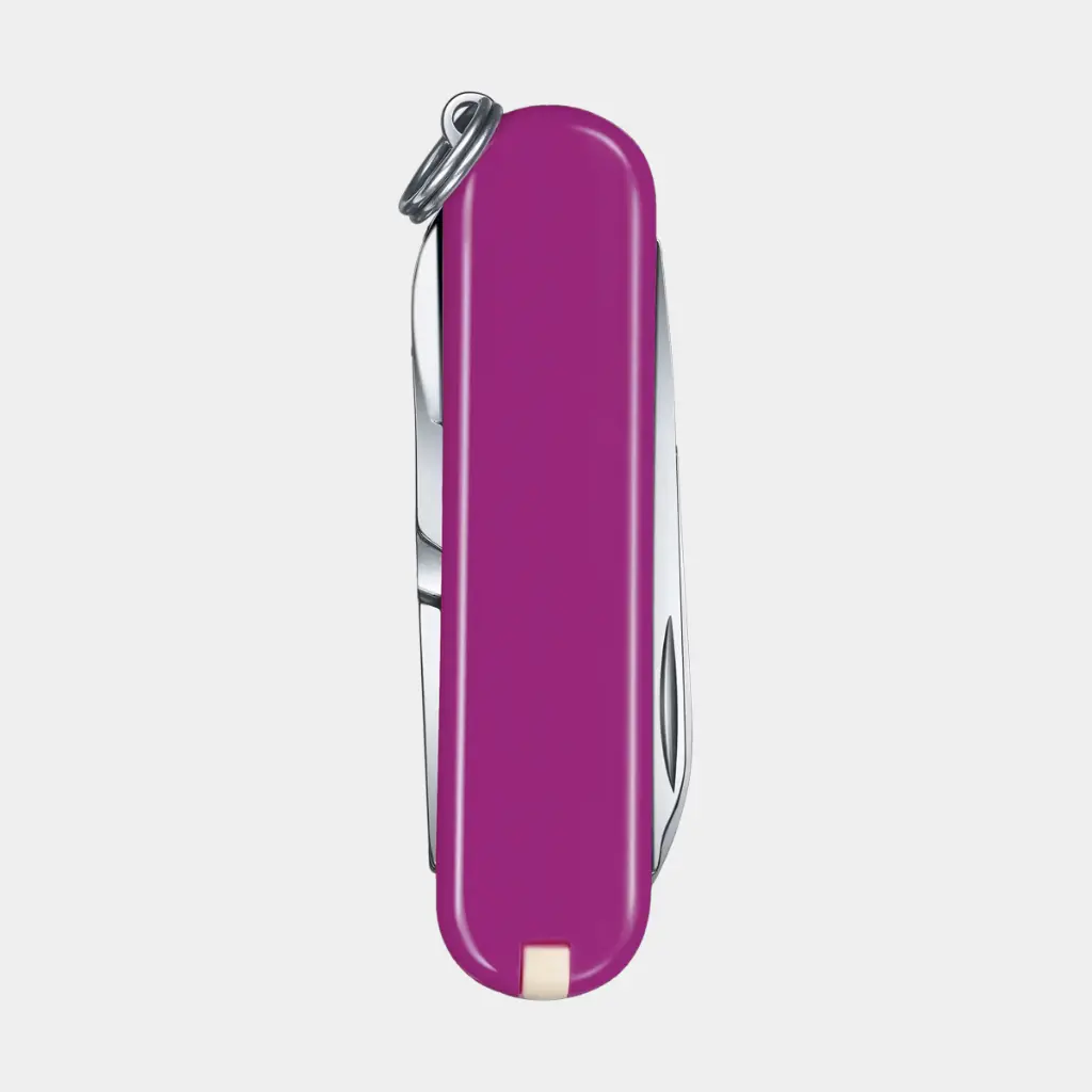 Classic SD Tasty Grape