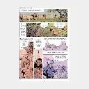 Il était une fois l'escalade (2025)