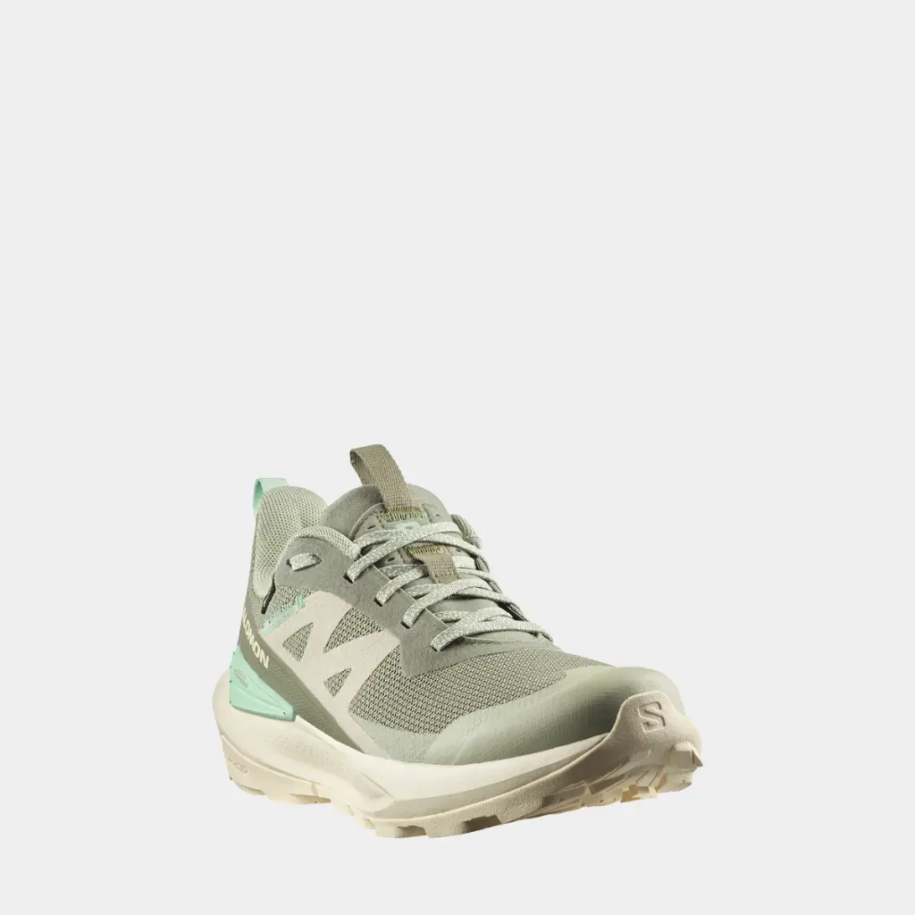 Elixir Activ GTX Women Deep Lichen Green / Tea