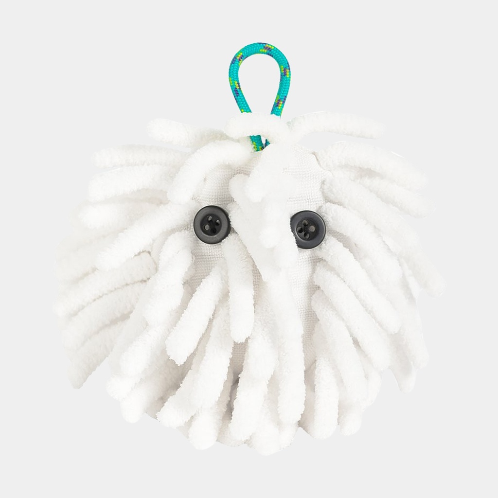 Chalktopus