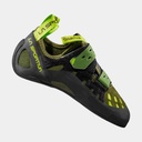 Tarantula Olive / Neon