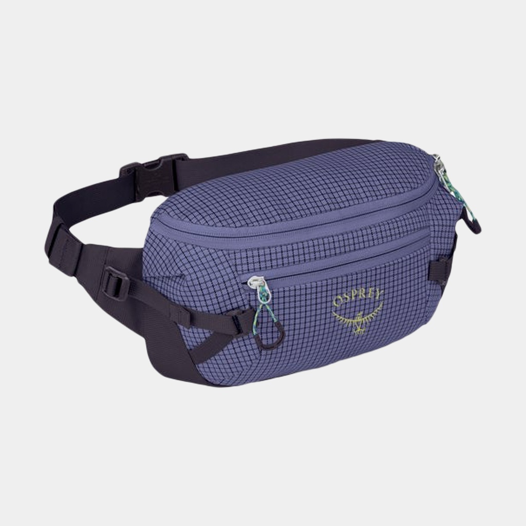 Transporter Waist Pack Euphoria Purple